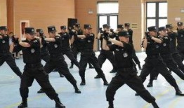 公安爆料行凶视频最新,真相令人震惊