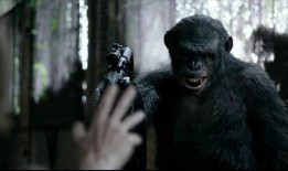 猩猿崛起1在线观看