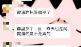 海都新闻爆料最新消息,最新热点事件详情揭晓