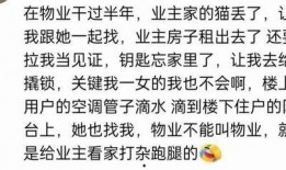 娱乐吃瓜群文案短句,短句解析，揭秘幕后真相